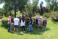 Transportes imposibles 1